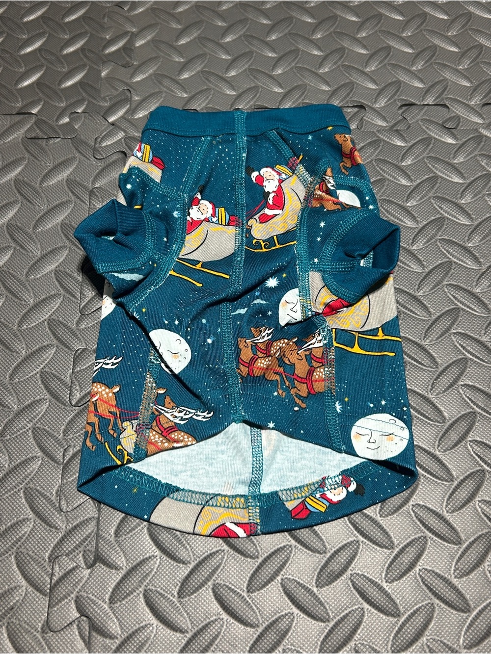 Hanna Andersson Teal Christmas Pet Pajamas Small